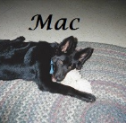 Mac 2006-2015